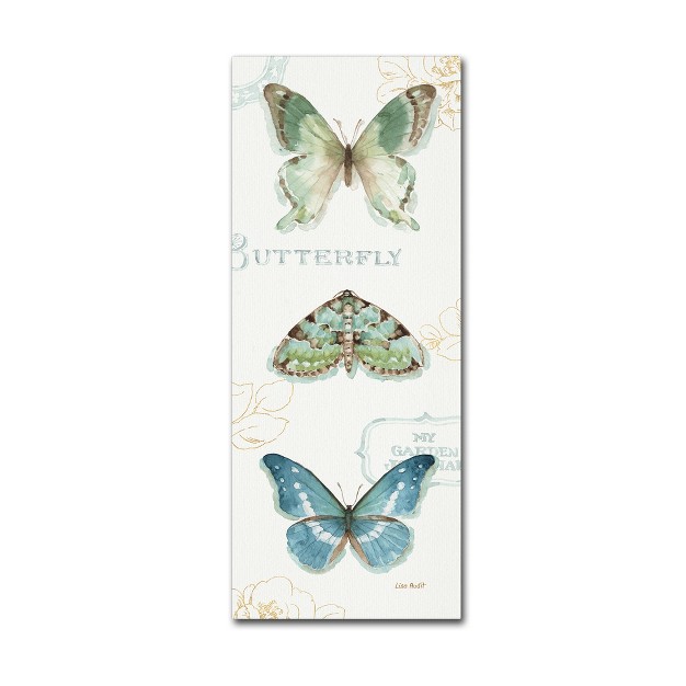 Trademark Fine Art lisa Audit x27 my Greenhouse Butterflies Vi x27 Canvas Art