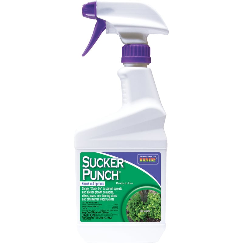 Bonide Sucker Punch Tree Roots Killer RTU Liquid 16 oz