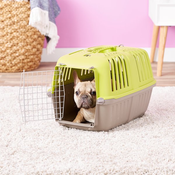 MidWest Spree Plastic Dog and Cat Kennel