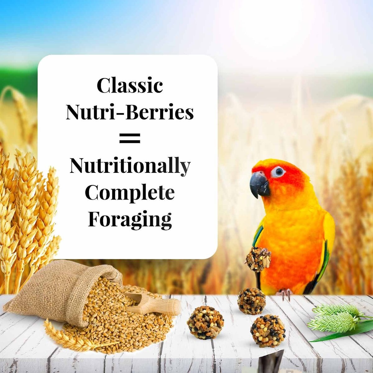 Lafeber Classic Nutri-Berries Conure Food