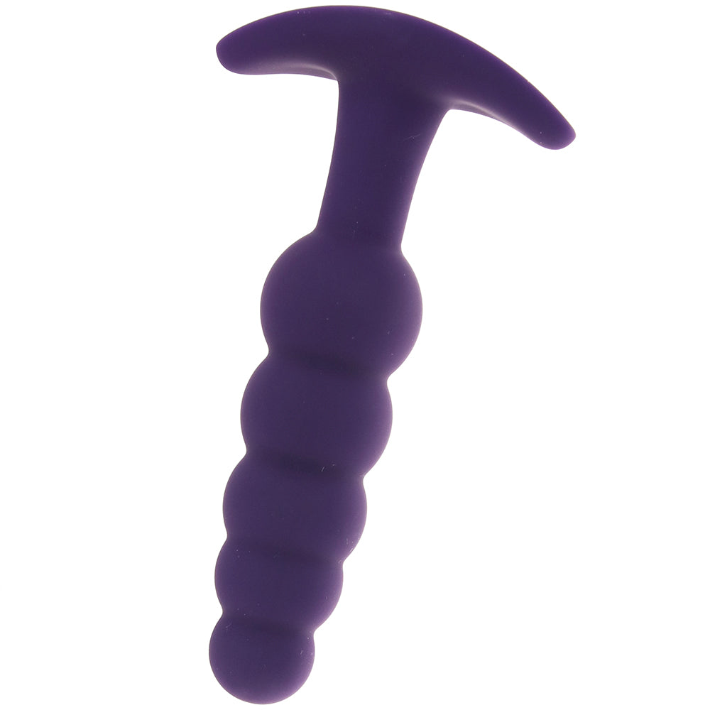 Plug Anal Vibe in Deep Purple