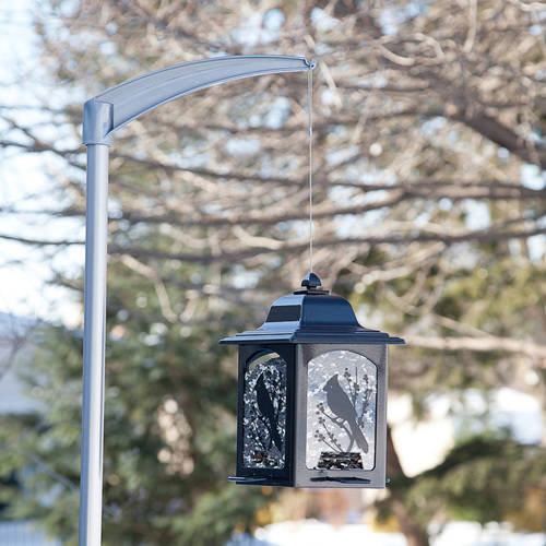 Perky-Pet Birds and Berries Lantern Feeder