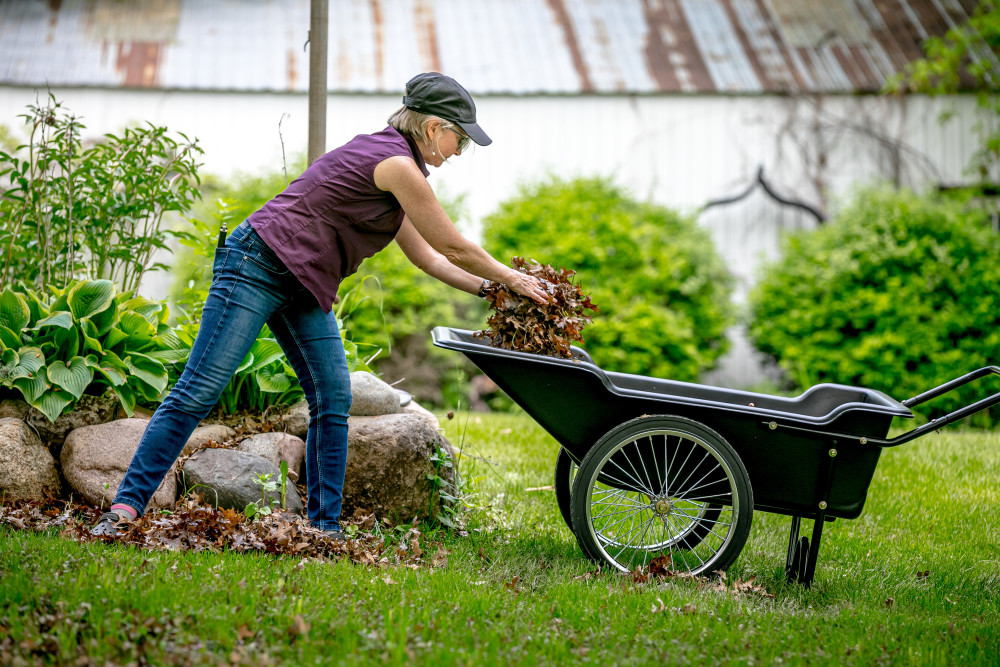 Polar Utility Cart ;