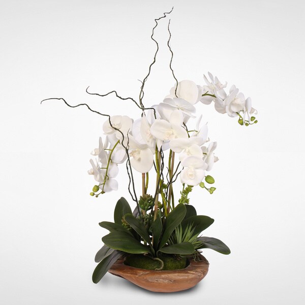 Real Touch Phalaenopsis Silk Orchid with Curly Willow in Natural Teak Wood Bowl