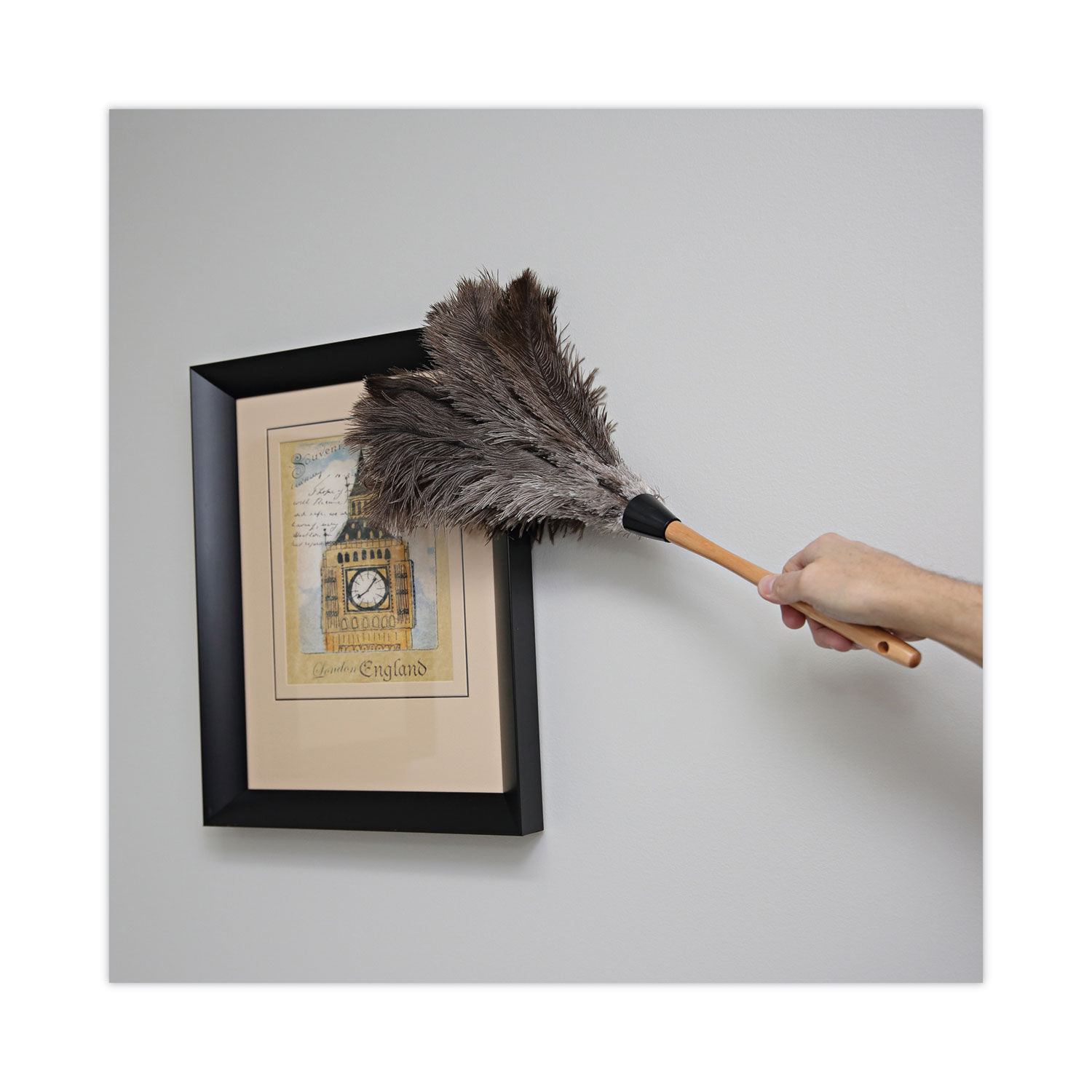 Professional Ostrich Feather Duster by Boardwalkandreg; BWK20GY