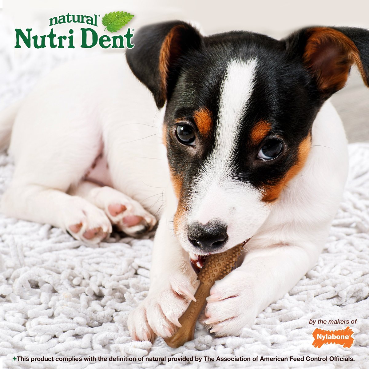 Nylabone Nutri Dent Limited Ingredients Small Filet Mignon Natural Dental Dog Treats， 64 count