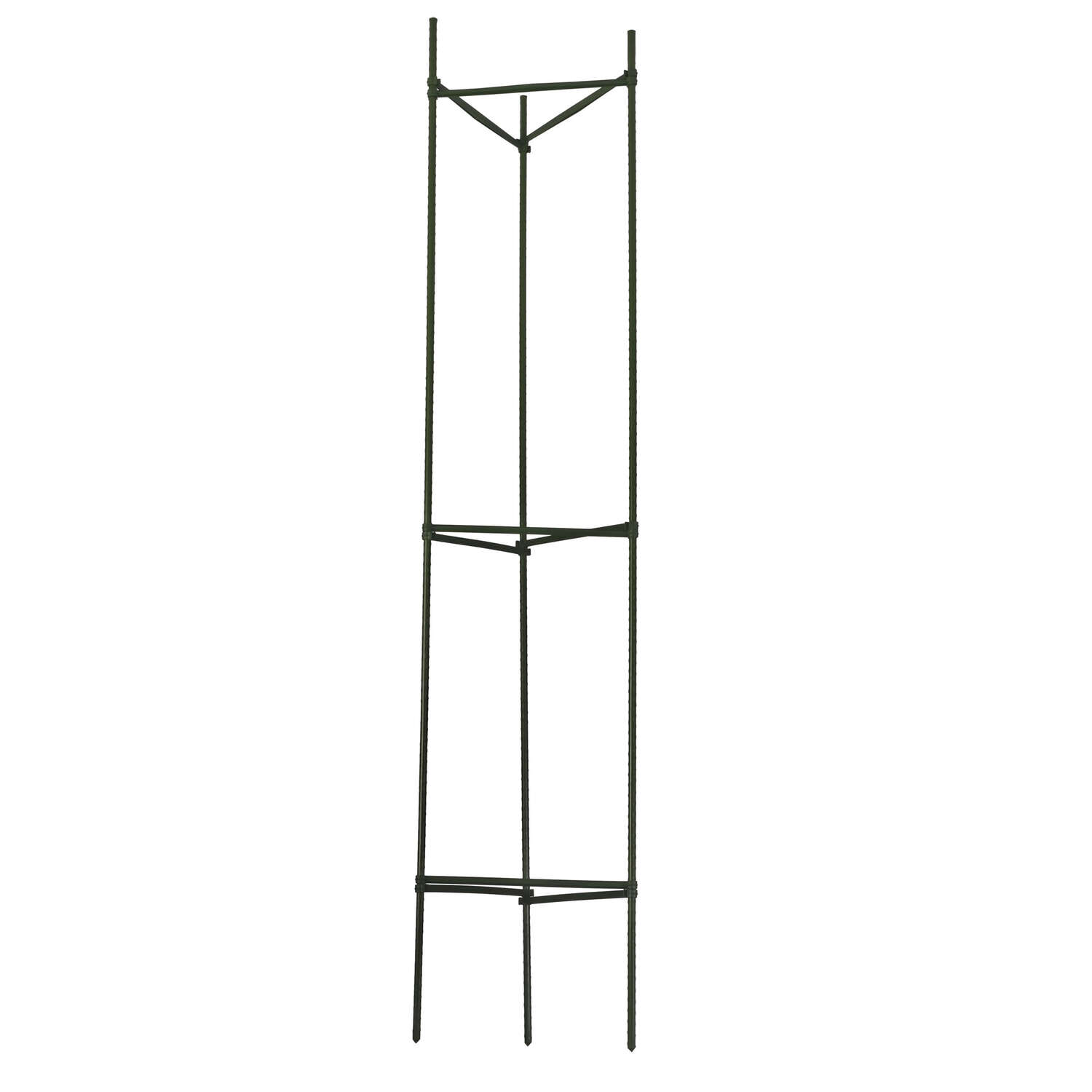 Gardeners Blue Ribbon 60 in. H X 12 in. W Green Steel Tomato Cage