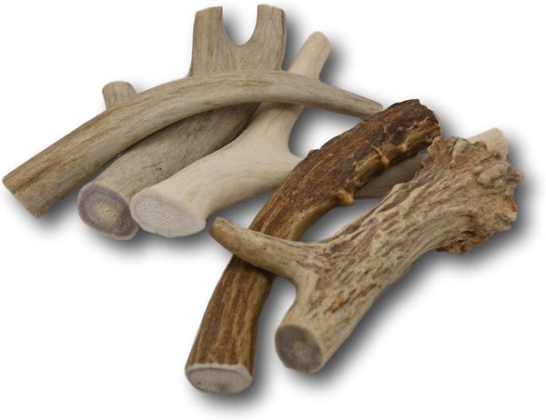 Top Dog Chews Premium Large Antler Dog Treats