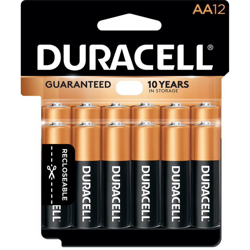 BATTERY ALKALINE AA 12PK