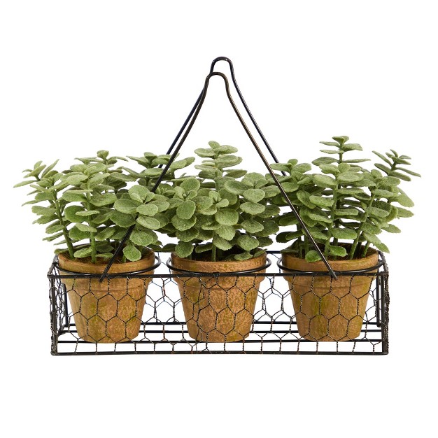 Nearly Natural 7 in Mini Jade Garden Artificial Plant In Hanging Planter