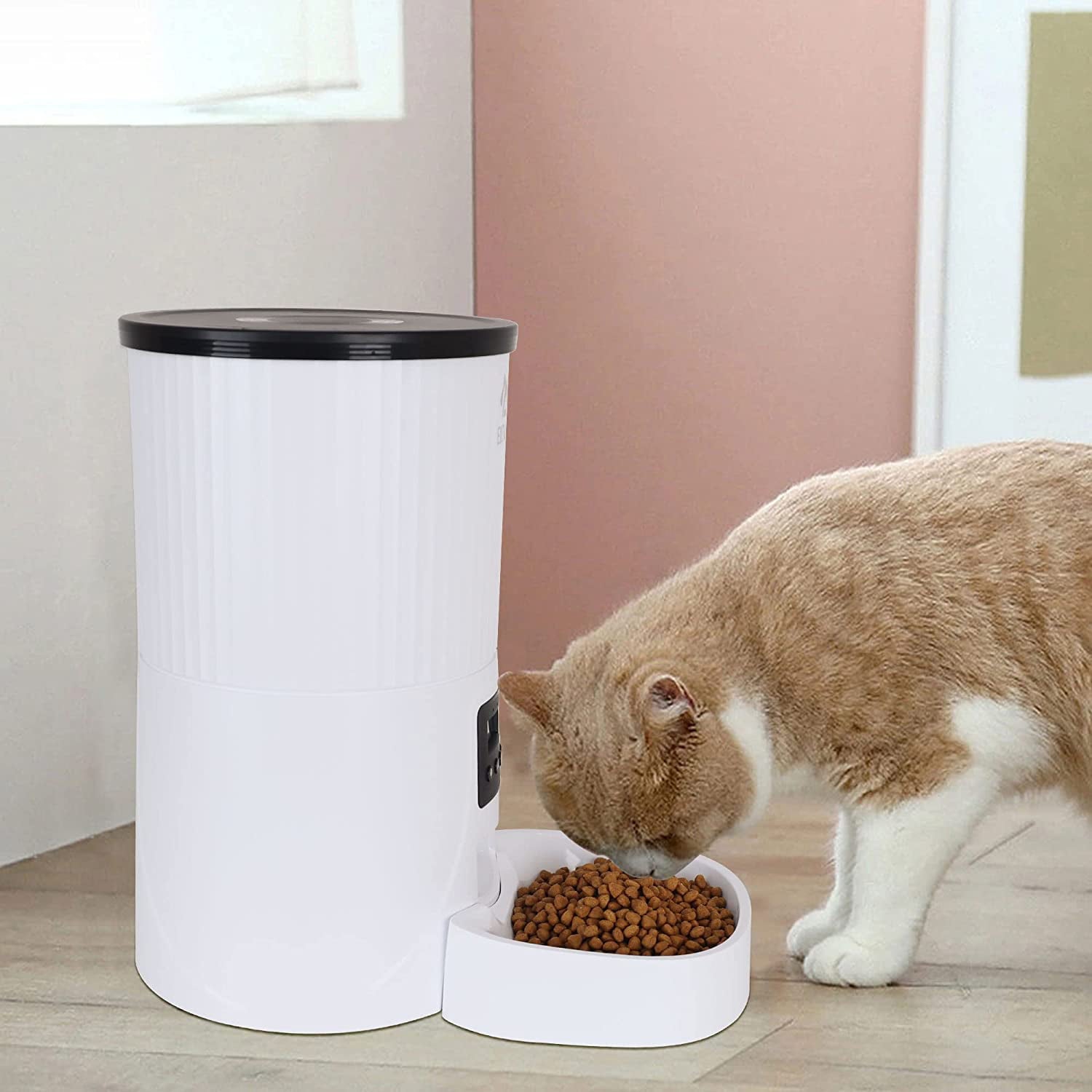 BalanceFrom 4L 1.05 Gallon Automatic Pet Feeder Food Dispenser， Auto Dog Food Dispenser， Voice Recorder and Programmable Timed Cat Feeder