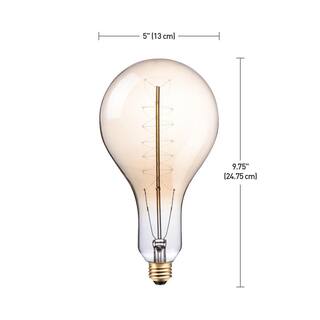 Globe Electric 100 Watt PS42 Dimmable Spiral Filament Vintage Edison Incandescent Light Bulb Warm Candle Light 80126