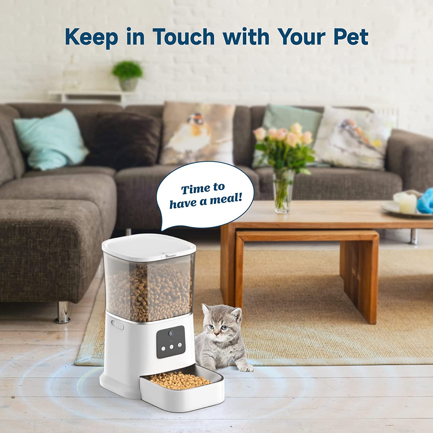 Automatic Cat Feeder with Camera， 6L WiFi Smart Pet Feeder with APP Control， Timed Dog Food Dispenser， Voice Recording， Stainless Steel Bowl， Up to 20 Portions 8 Meals Per Day