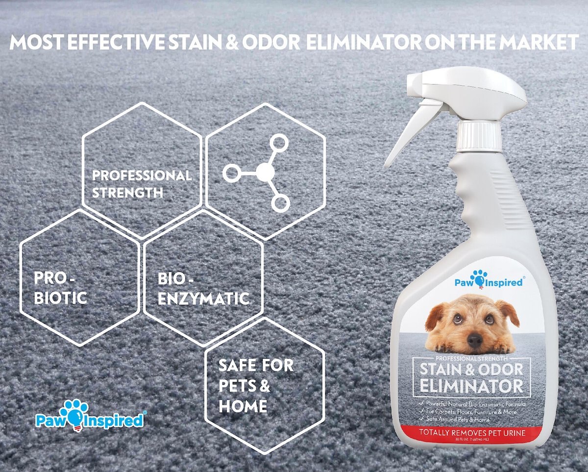 Paw Inspired Professional Dog Stain and Odor Eliminator Spray， 32-oz bottle