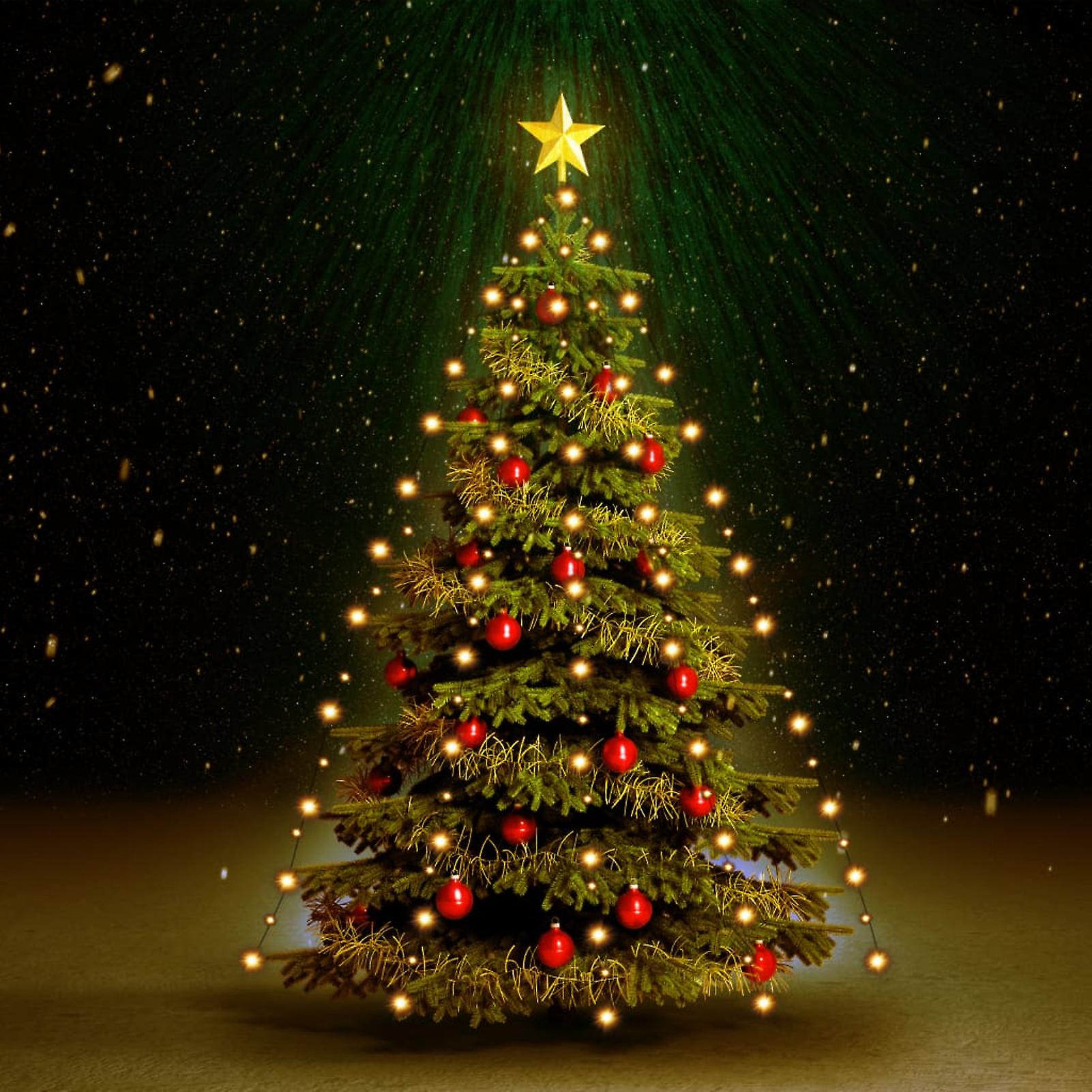 Christmas Tree Light Net With 180 Leds 180 Cm No.354870