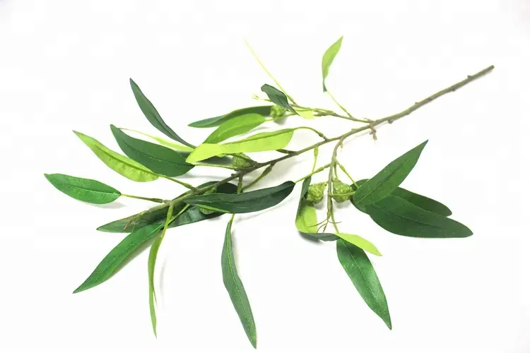 New fashion best selling seeded silk eucalyptus foliage for flower arrangement decor for room fabric eucalyptus spray