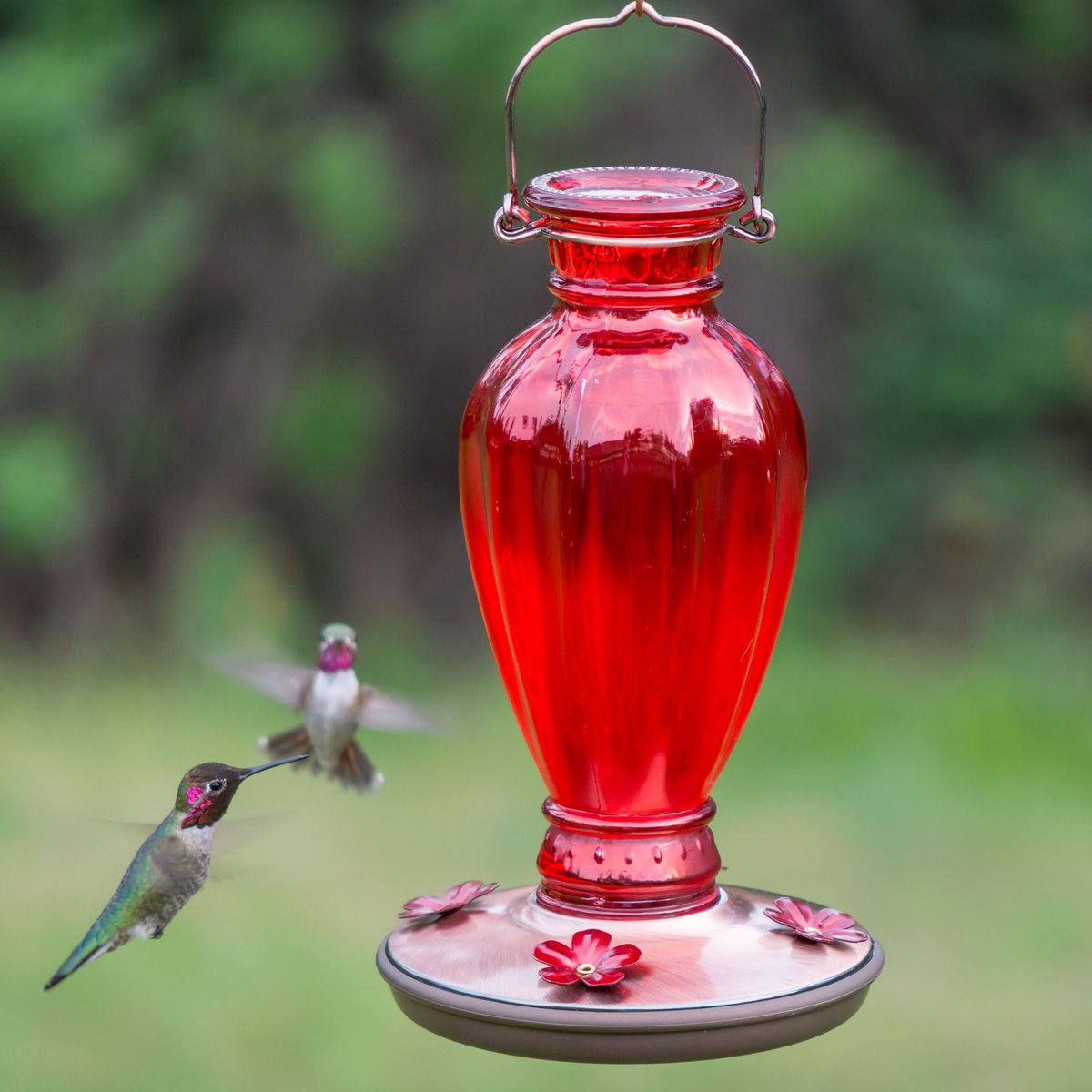 Perky-Pet Daisy Vase Vintage Glass Hummingbird Feeder