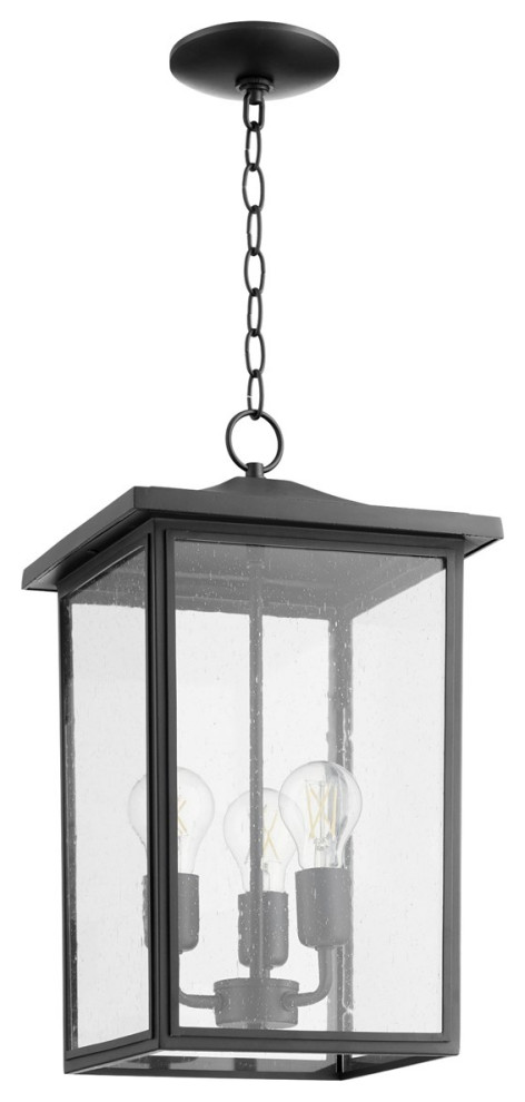 Quorum Riverside 11 quot3 LT Pendant 723 11 69   Noir   Transitional   Outdoor Hanging Lights   by LIGHTING JUNGLE  Houzz