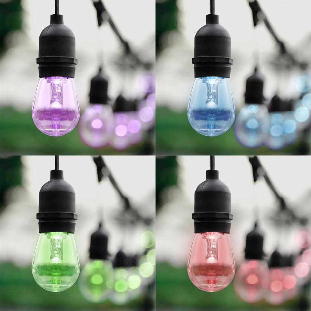 OVE Decors Outdoor 48 ft PlugIn S14 Bulbs RGB String Light with Remote Control