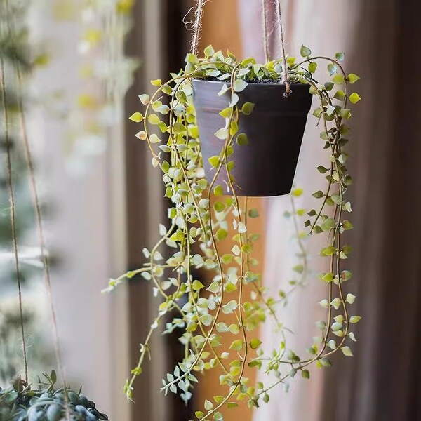 RusticReach Hanging Faux Ceropegia Vine in Pot