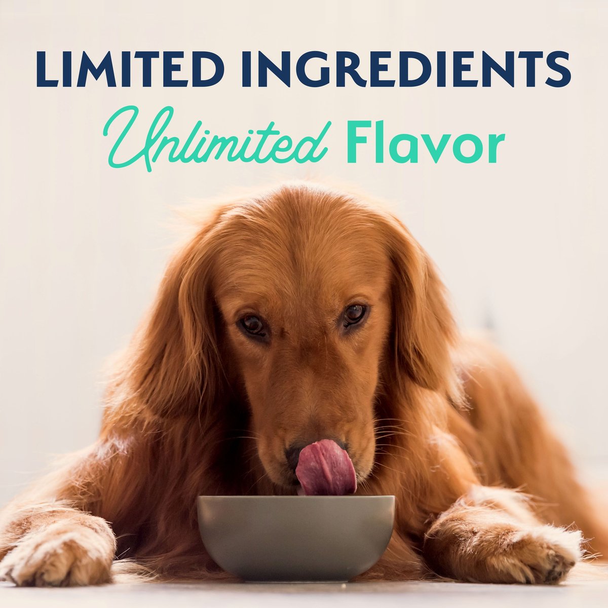 Natural Balance Limited Ingredient Grain-Free Chicken and Sweet Potato Recipe Dry Dog Food