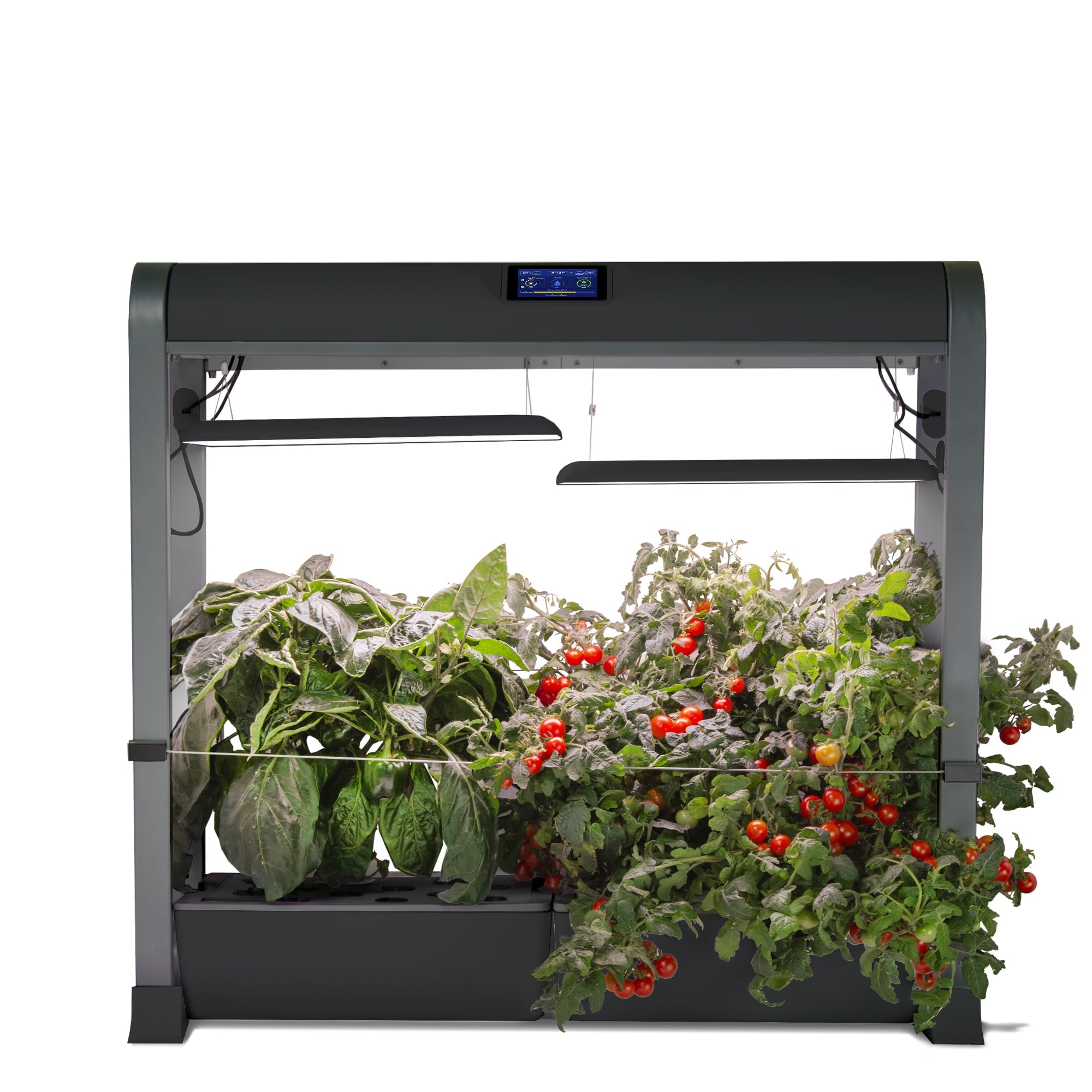 AeroGarden Farm 24Plus with Salad Bar Seed Pod Kit， Black