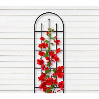 Vigoro Wisteria 80 in. Black Steel Trellis 87230