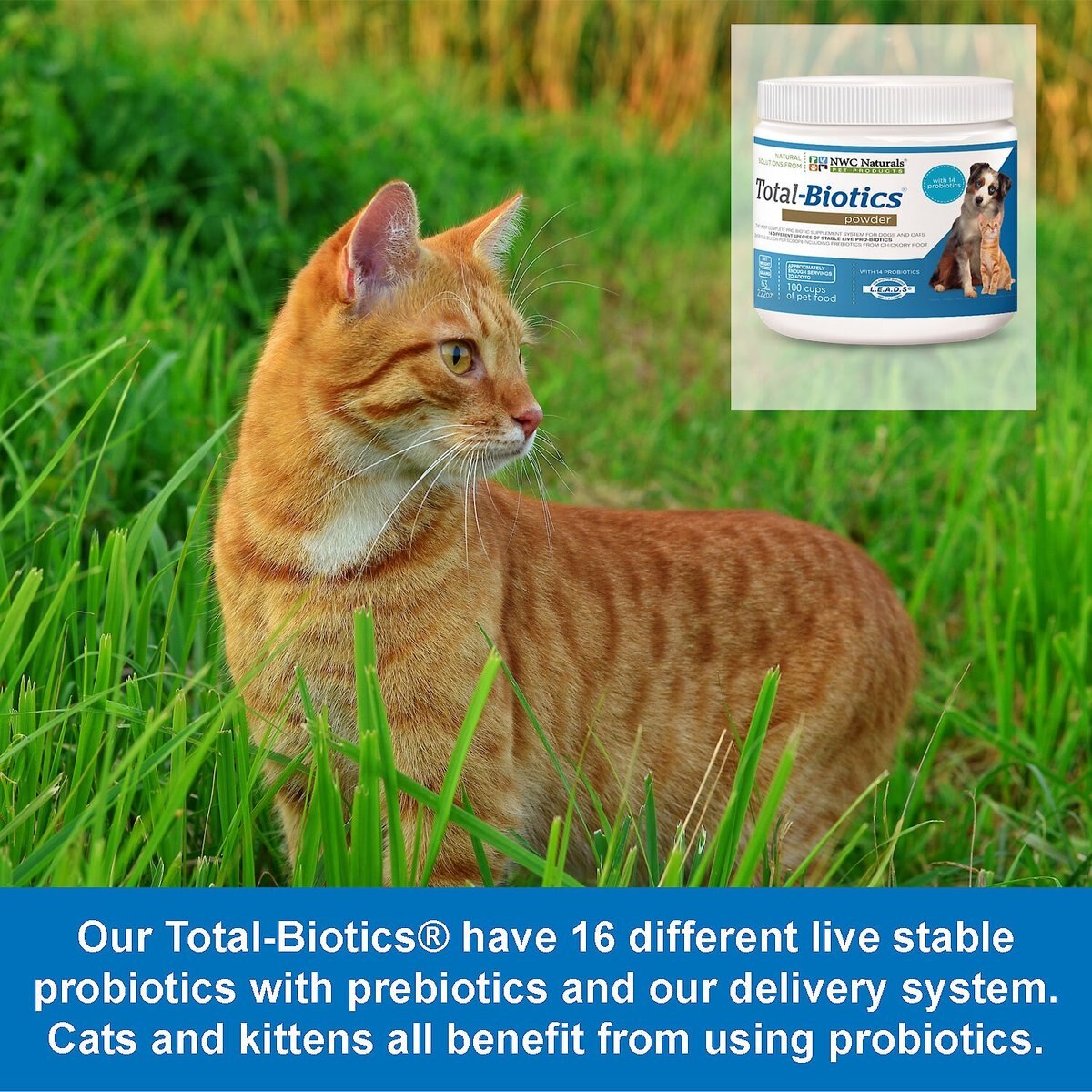 NWC Naturals Total-Biotics Probiotic Dog and Cat Powder Supplement