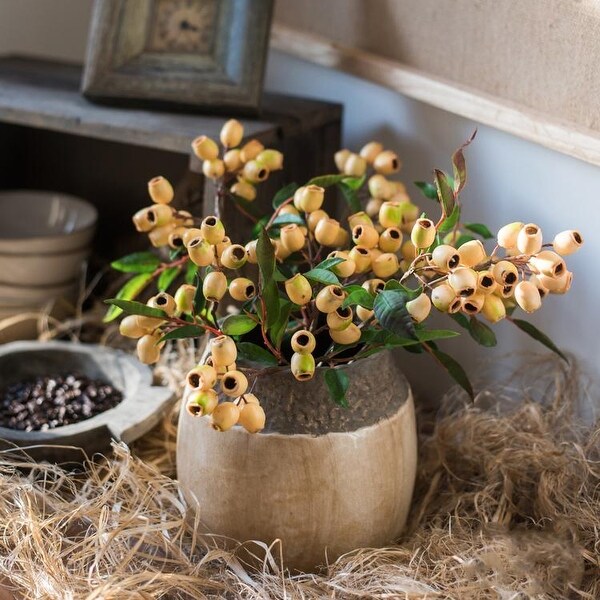 RusticReach Loquat Fruit Stem in Yellow 15 Tall