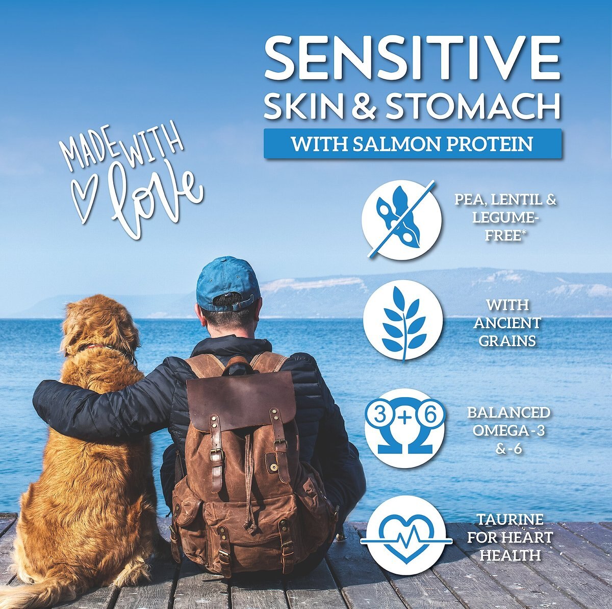 Wholesomes Sensitive Skin and Stomach With Salmon Protein Dry Dog Food， 30-lb bag