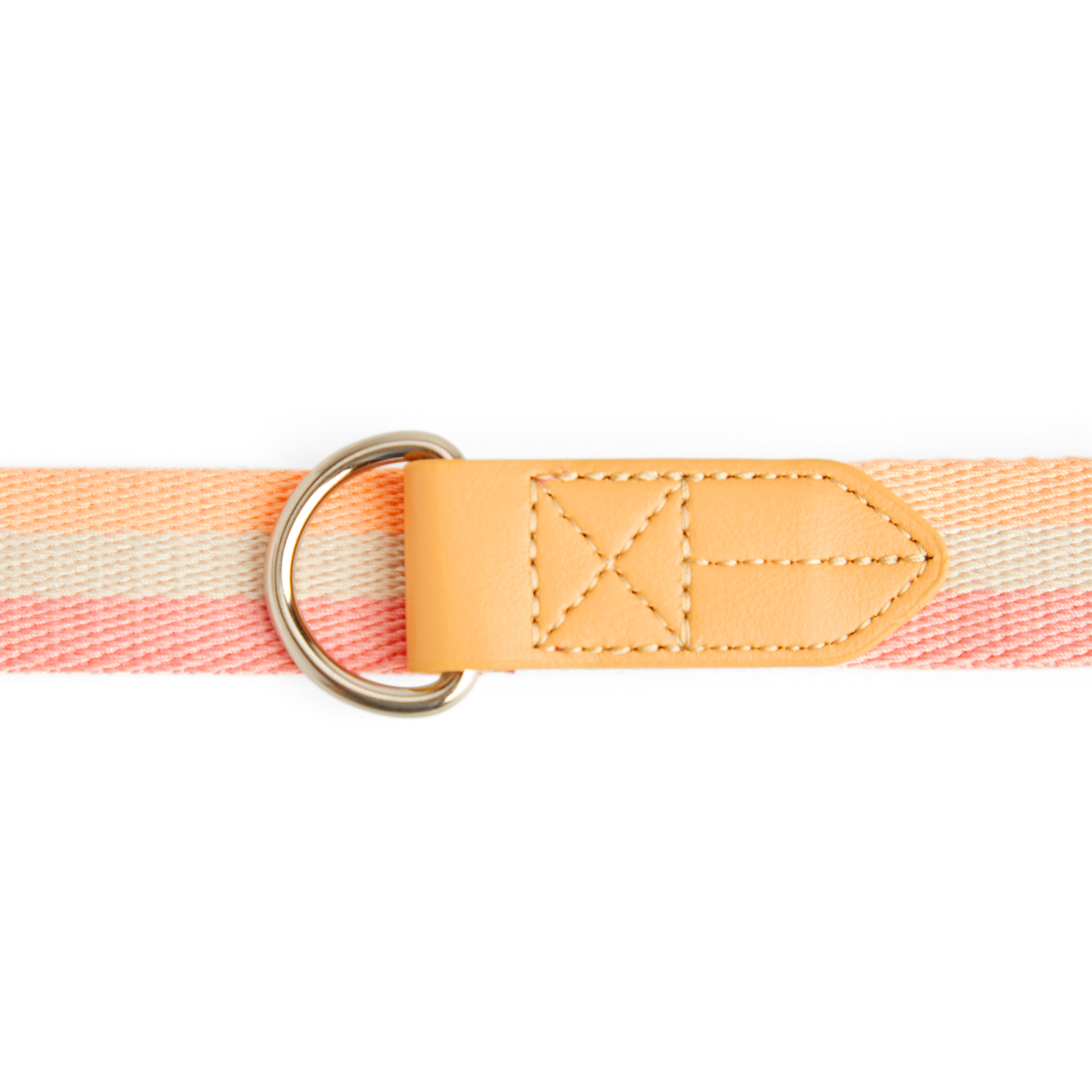 YOULY Creamsicle Dog Leash， 6 ft.