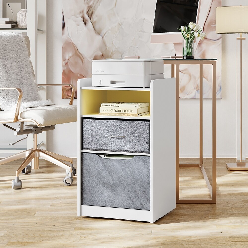 Vertical Mobile File Cabinet with 2 Drawers  Home Office Printer Cart