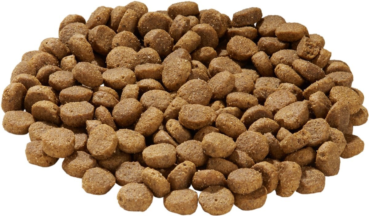 Health Extension Large Bites Chicken and Brown Rice Recipe Dry Dog Food