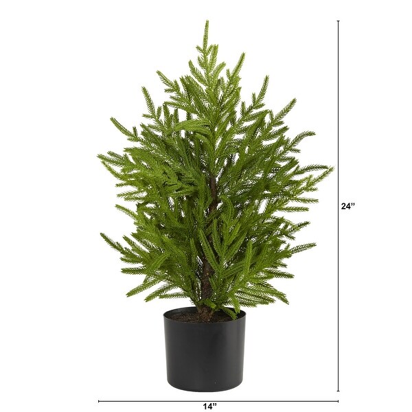 2' Norfolk Island Pine Natural Look Tree in Decorative Planter