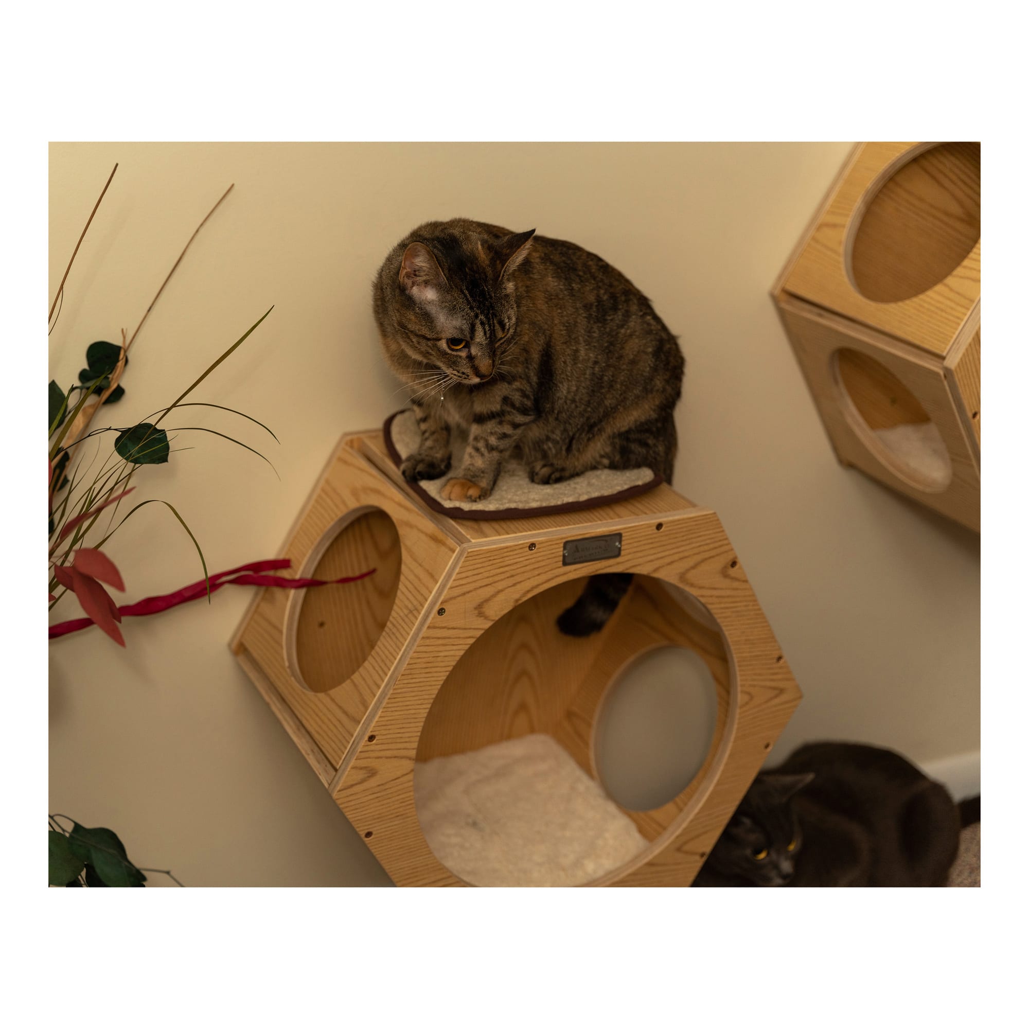 Armarkat W2107A Real Wood Wall Series Set of Two Natural Cat Tree Additions， 20