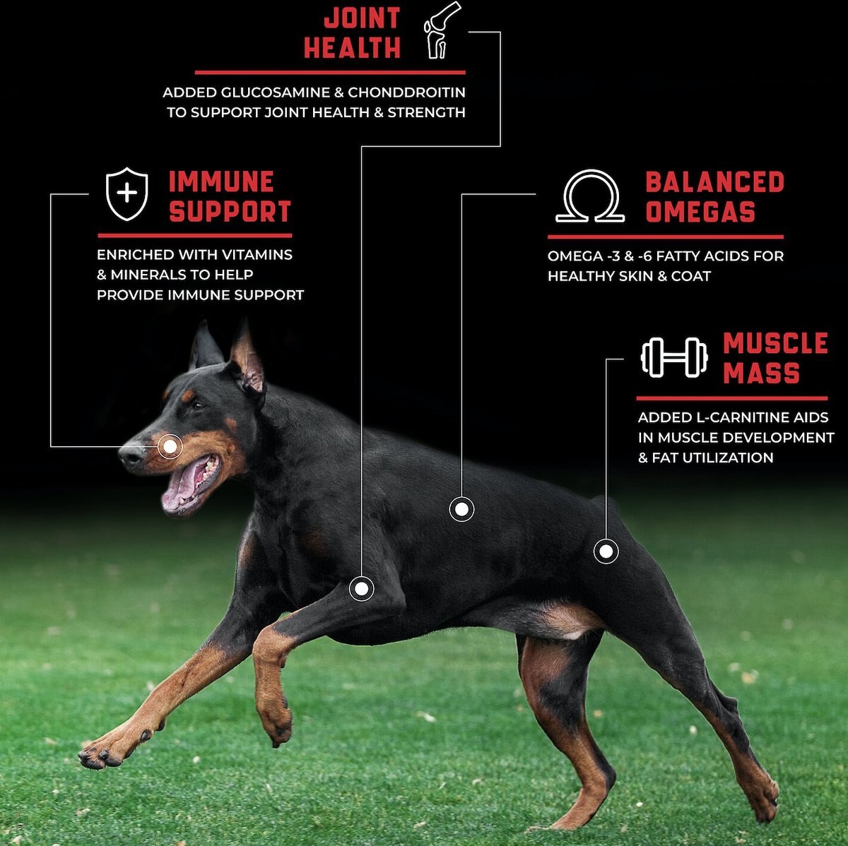 SPORTMiX CanineX Beef Meal and Vegetable Formula Dry Dog Food