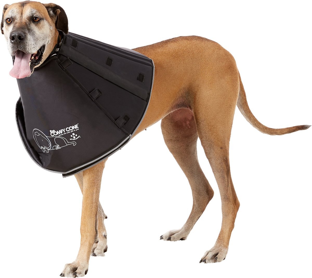 All Four Paws Comfy Cone E-Collar for Dogs and Cats， Black