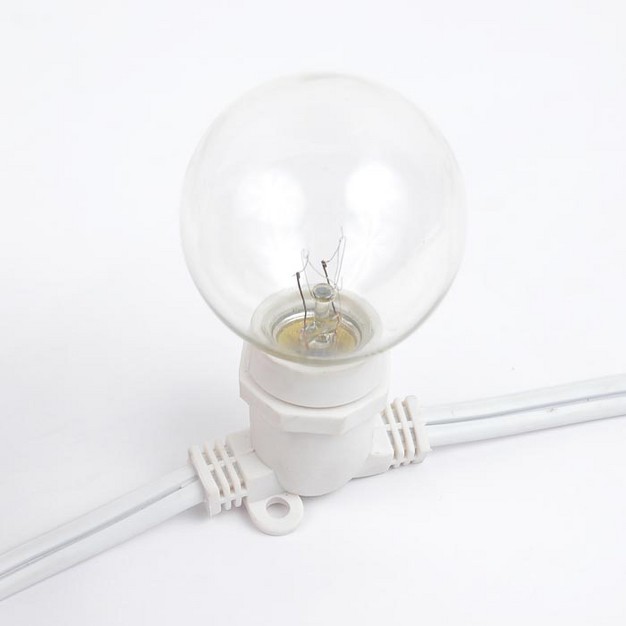 Novelty Lights Globe Outdoor String Lights With 80 In line Sockets White Wire 100 Feet