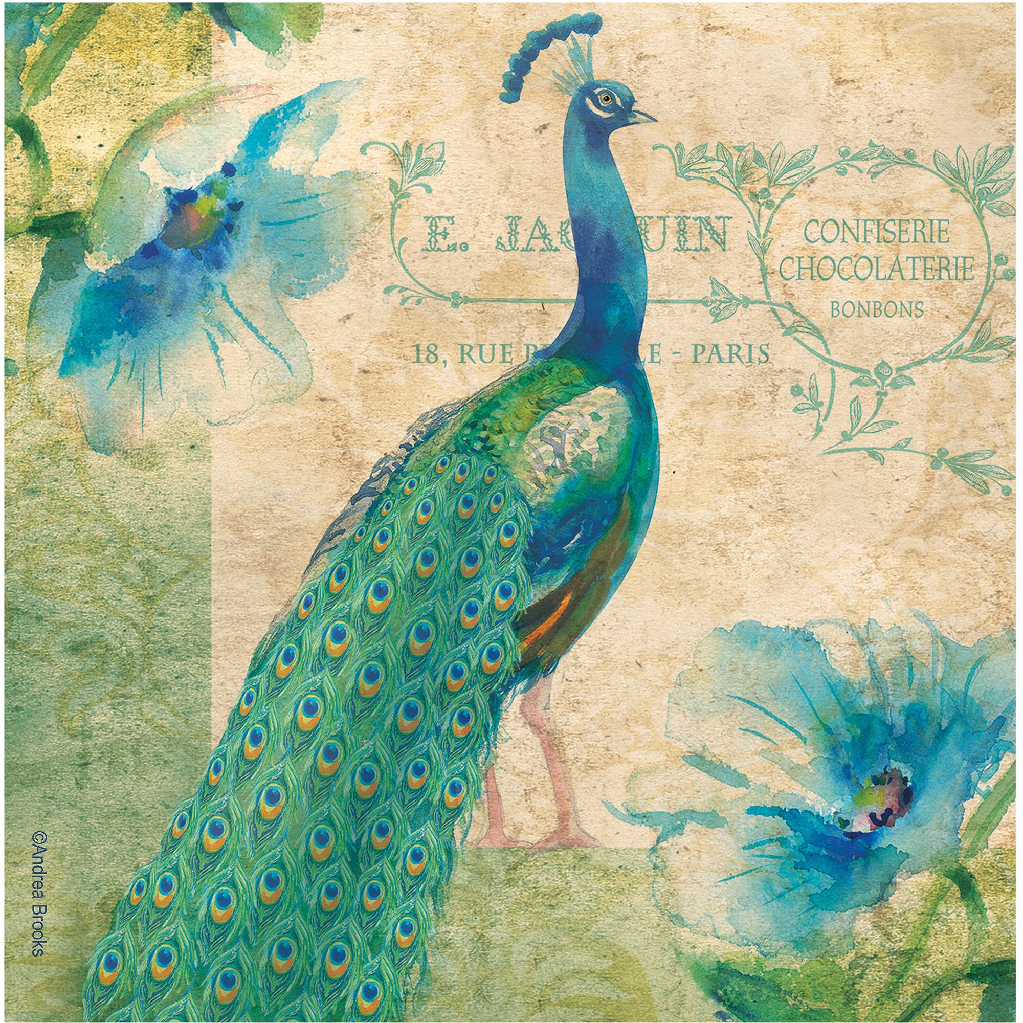 Thirstystone Square Occasions Drink Coasters， Peacock， Set of 4