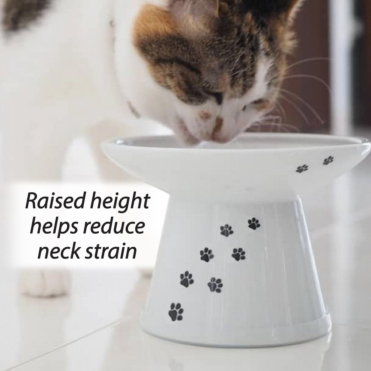 Necoichi Extra Wide Ceramic Elevated Cat Food Bowl， 2-cup