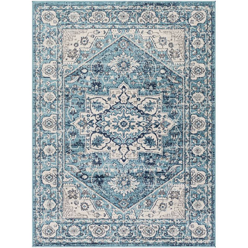 Anjum Traditional Area Rug