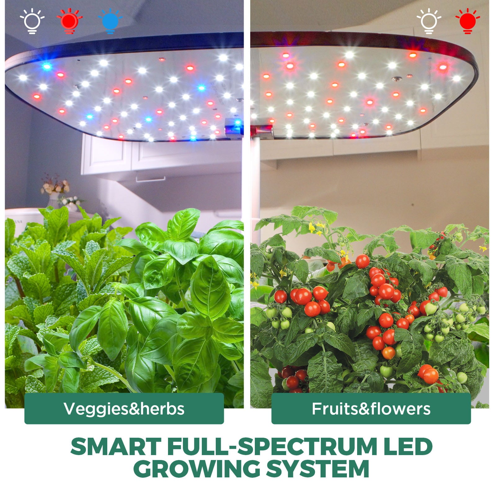 LetPot APP Controlled Smart Hydroponics Growing System SE with Grow Lights 12-Pods 19