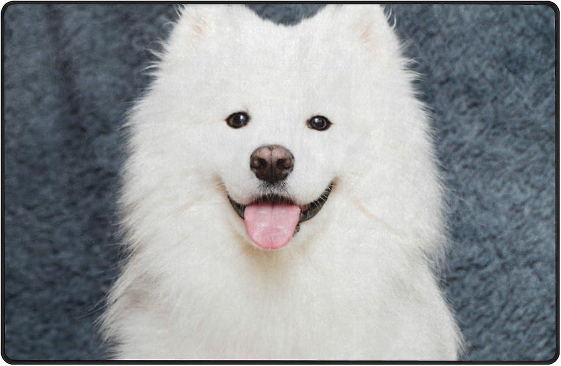 Colourlife Lightweight Carpet Mats Area Soft Rugs Floor Mat Doormat Decoration For Rooms Entrance 31 X 20 Inches Samoyed Dog Sitting