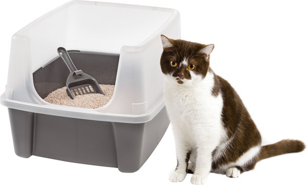 IRIS Open Top Cat Litter Tray with Scoop and Scatter Shield， Medium， Gray