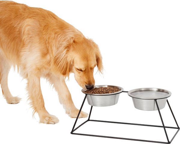 Frisco Pyramid Elevated Stainless Steel Double Diner Dog and Cat Bowl