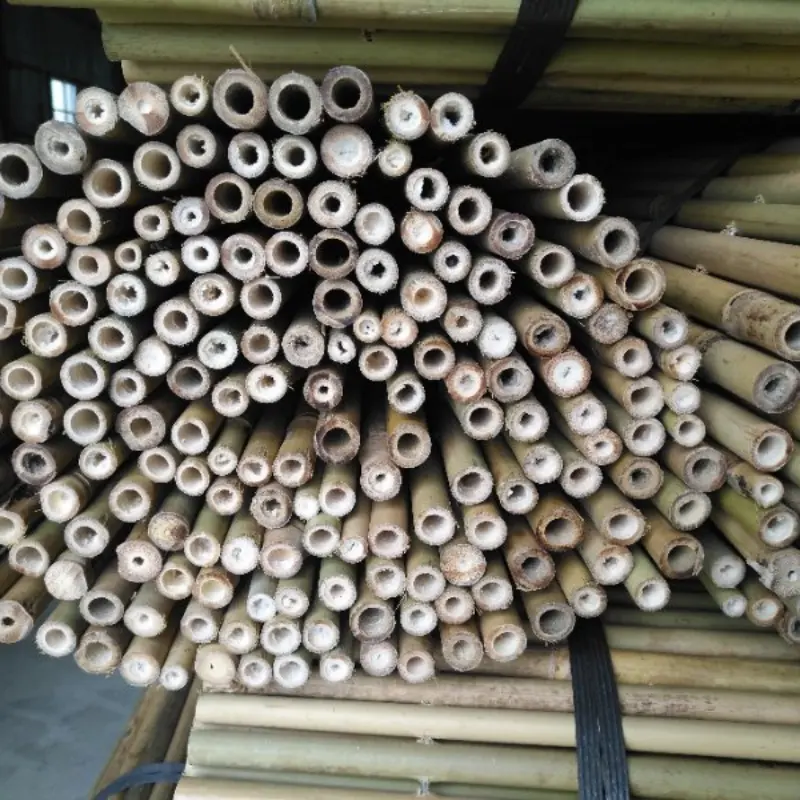 all kinds of sizes bambu valla for decorationg garden