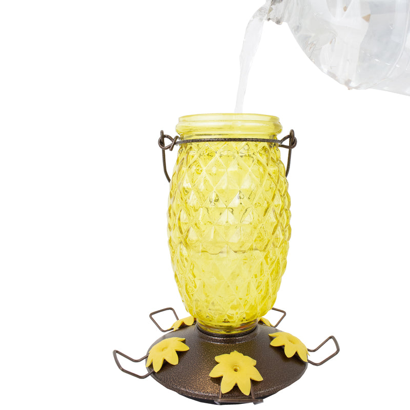 PINEAPPLE BIRD FEEDER