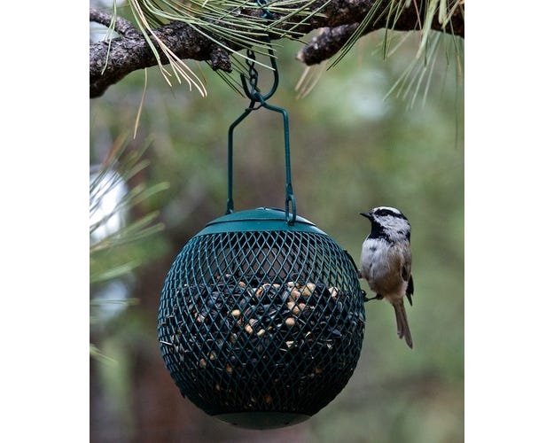 Green Bird Feeder Ball - GSB00344