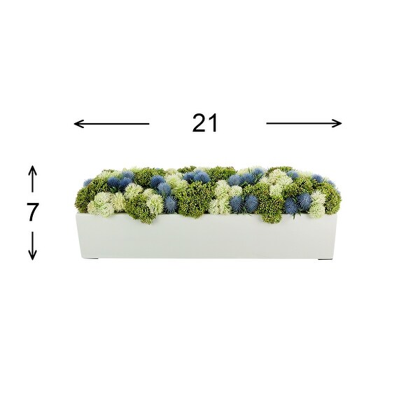 Sedum and Thistle Arranged in Rectangular Planter