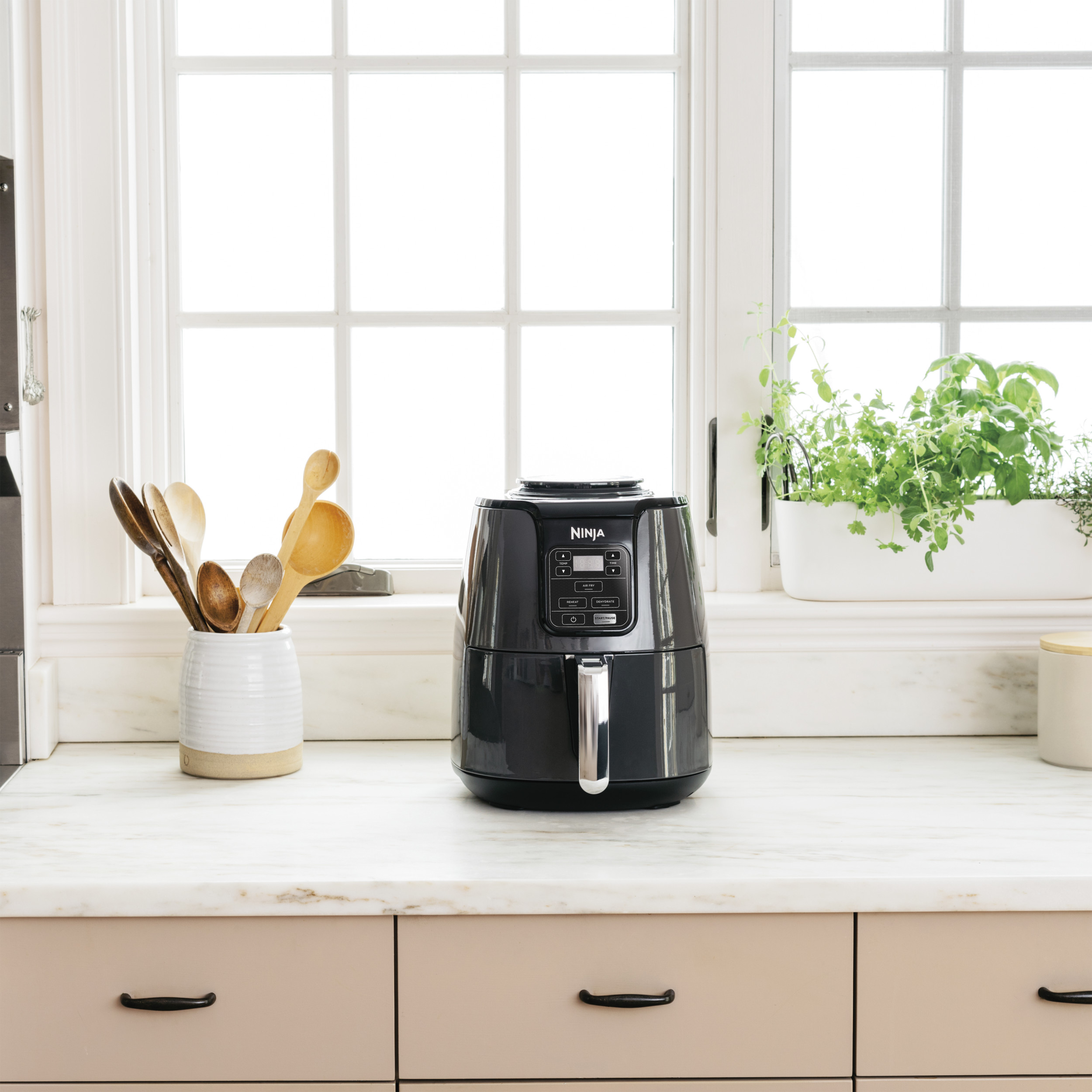 Ninja AF100 4 Quart Air Fryer